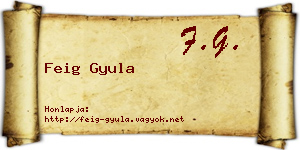 Feig Gyula névjegykártya